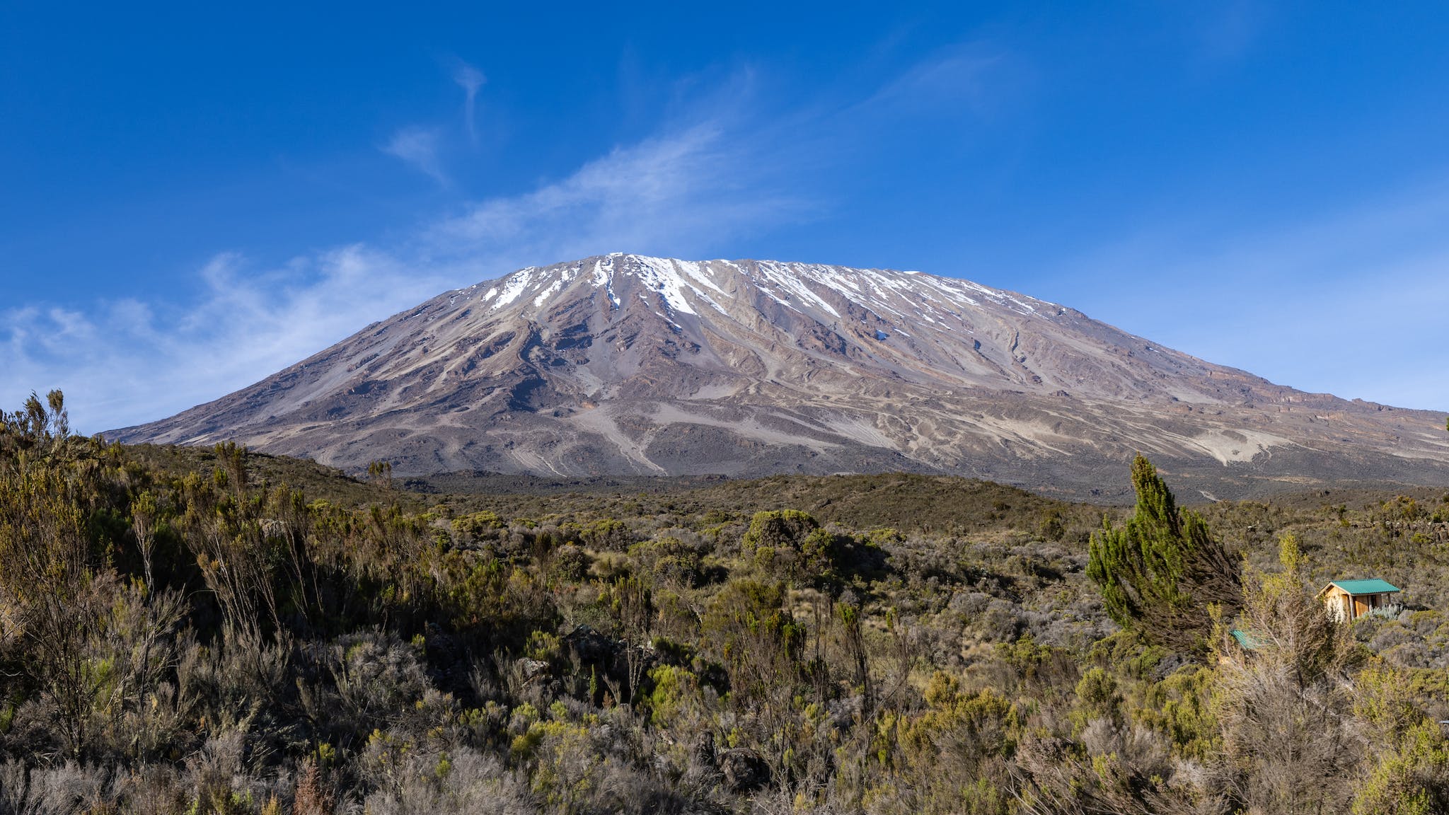 A View of Kilimanjaro