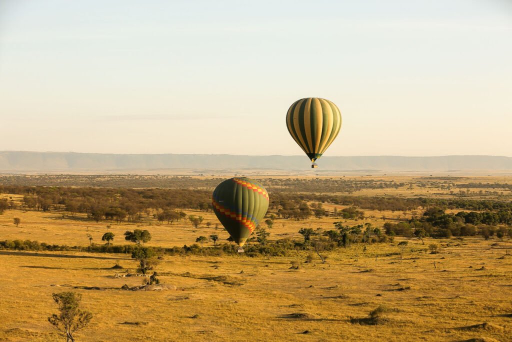 2 Day Tanzania safari Tours