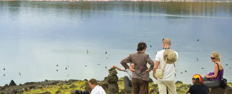 Arusha Park Day Trip