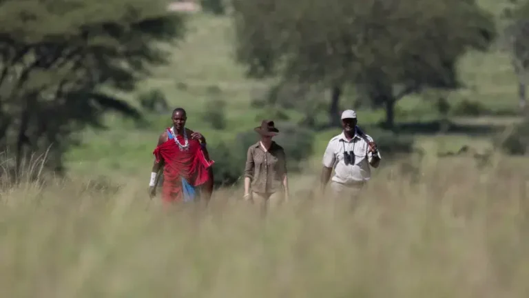 14 Days East Africa Tented Safari & Zanzibar